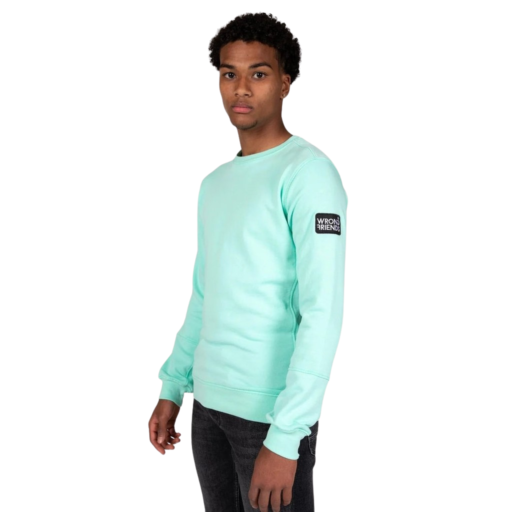 Model wearing the light green Wrong Friends Leon crewneck, with branded sleeve patch.